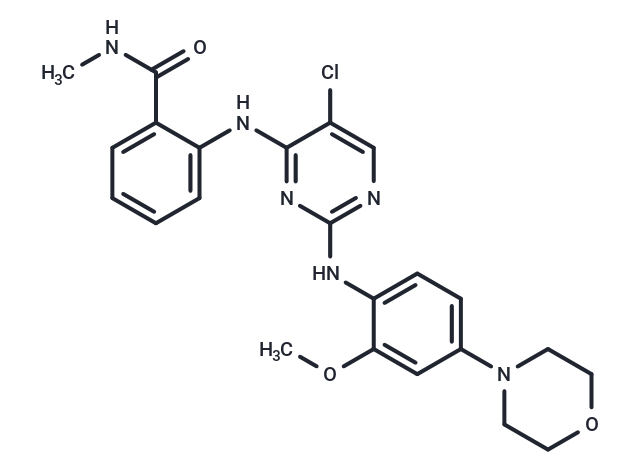 化合物 NVP-TAE 226|T1918|TargetMol