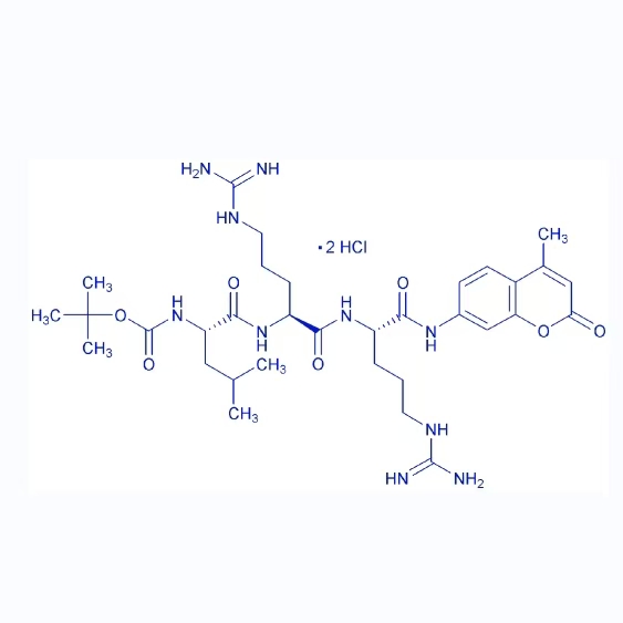 Boc-Leu-Arg-Arg-AMC/109358-46-5/荧光底物多肽Boc-Leu-Arg-Arg-AMC