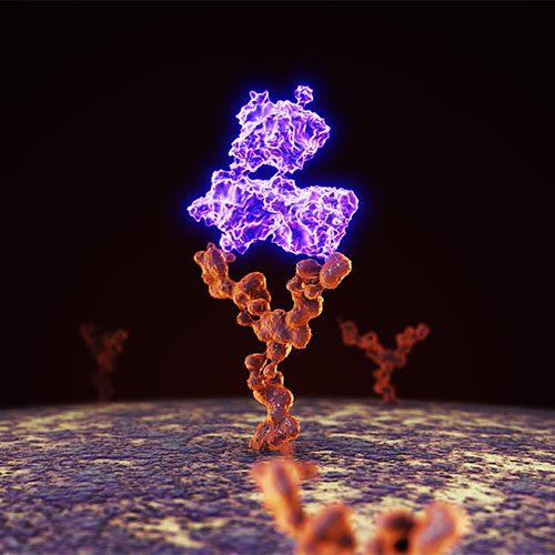 重组人SIGIRR蛋白-ACROBiosystems百普赛斯