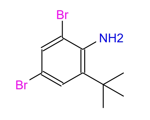 2,4-二溴-6-(叔丁基)苯胺