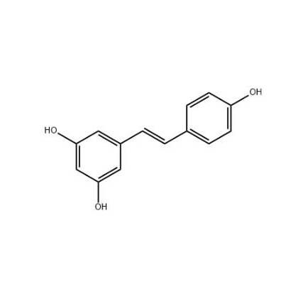 白藜芦醇，501-36-0