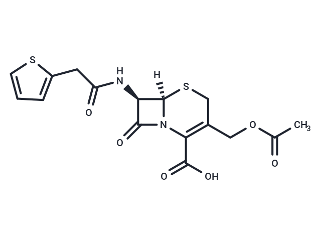 头孢噻吩|T5570|TargetMol