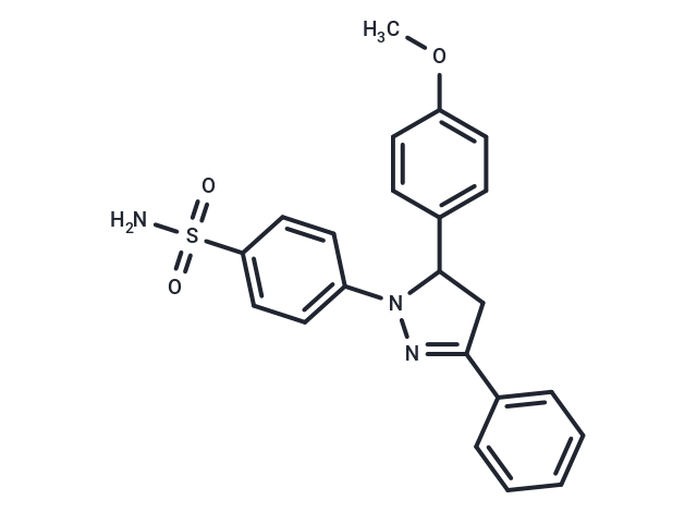 化合物 ML141|T2463|TargetMol