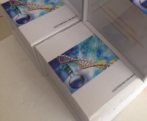 葡萄状穗霉属染料法荧光定量PCR试剂盒Stachybotrys spp