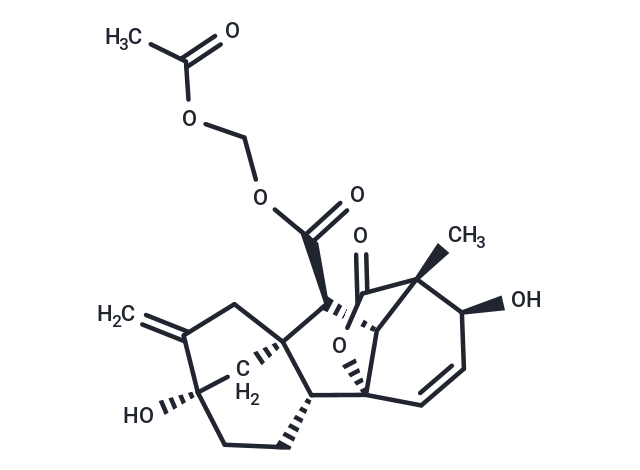 化合物 GA3-AM|T31900|TargetMol