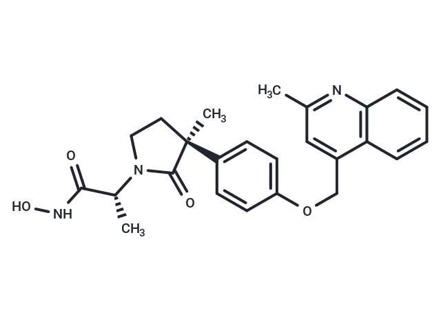 化合物 IK-862|T27592|TargetMol