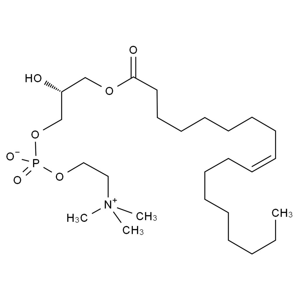 CATO_1-油酰-Sn-甘油-3-磷酸胆碱_19420-56-5_97%