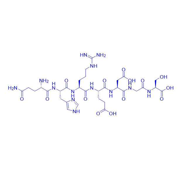 血管生成素-1衍生肽Angiopoietin-1 (312-318) (bovine)/1361235-89-3/Q-Peptide