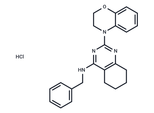 化合物 ML241 hydrochloride|T4684|TargetMol