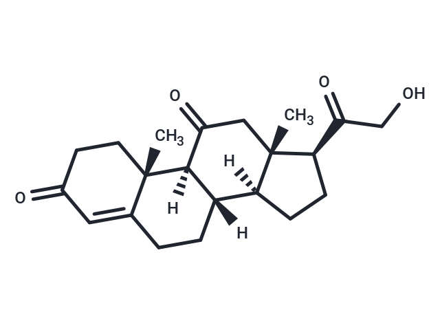 化合物 11-Dehydrocorticosterone|T68808|TargetMol