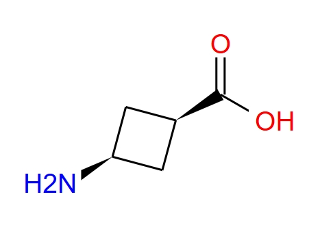 CIS-3-氨基环丁酸