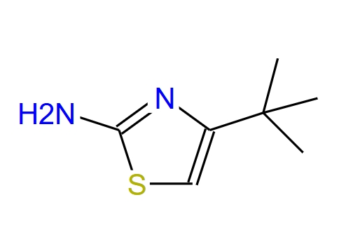 2-氨基-4-叔-丁基噻唑