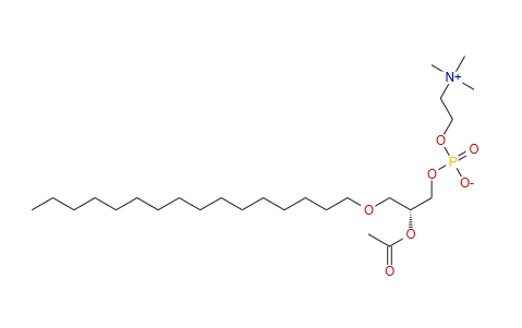 Β-乙酰基-Γ-O-十六烷基-L-Α-卵磷脂