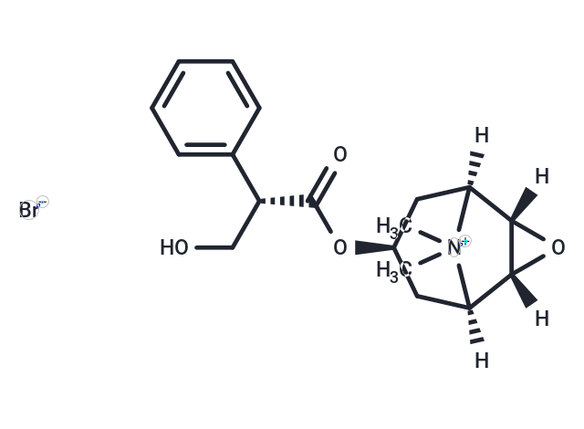 甲溴东莨菪碱|T0253|TargetMol