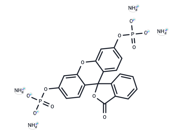 Fluorescein diphosphate 四铵盐|T20421|TargetMol