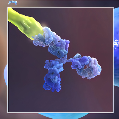 MAG/Siglec-4a蛋白-ACROBiosystems百普赛斯