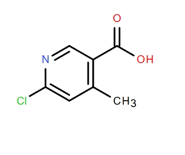 6-氯-4-甲基吡啶-3-羧酸