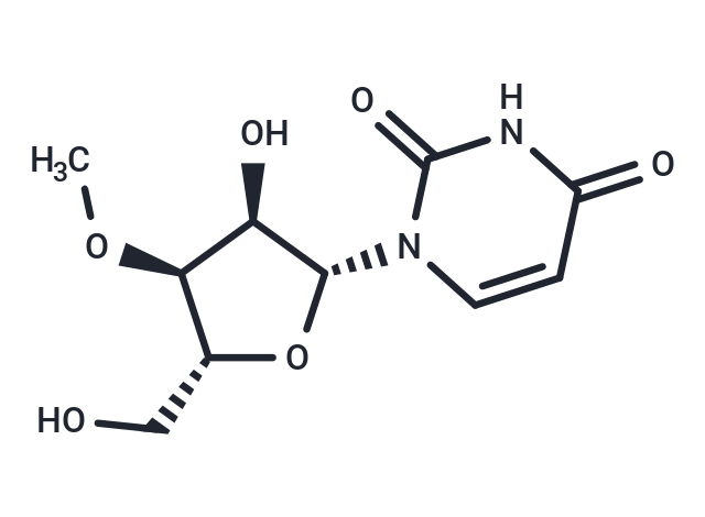 化合物 3’-O-Methyluridine|TNU0730|TargetMol