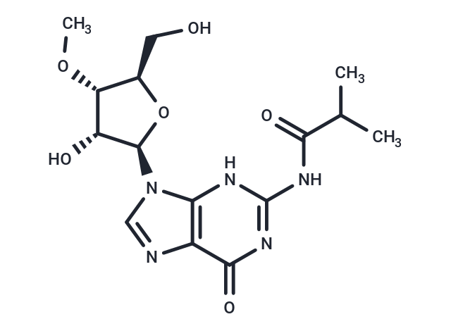 化合物 N2-iso-Butyroyl-3’-O-methylguanosine|TNU1382|TargetMol