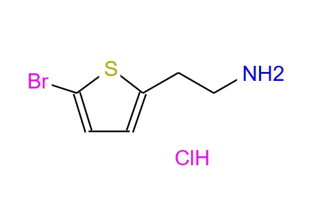 2-(5-溴-2-噻吩)乙胺盐酸盐