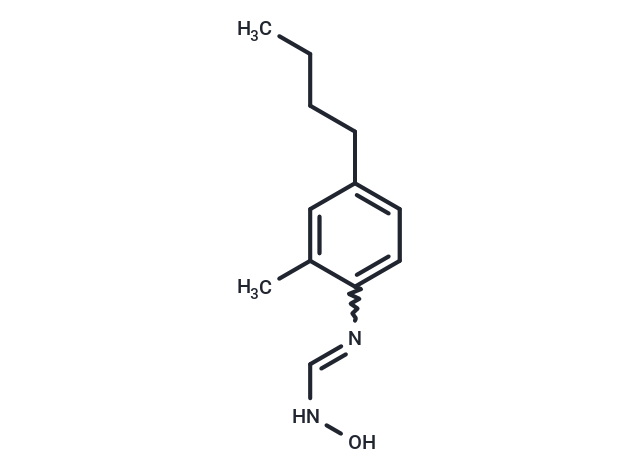 化合物 HET0016|T11556|TargetMol