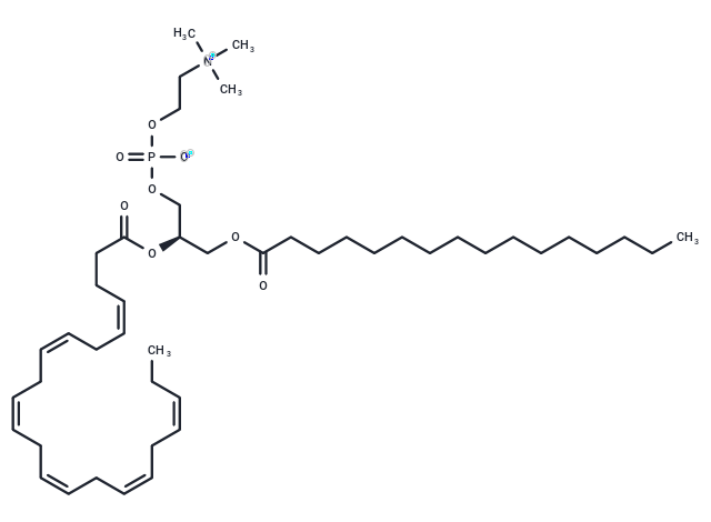 化合物 Palmitoyldocosahexaenoyl phosphatidylcholine|T12357|TargetMol