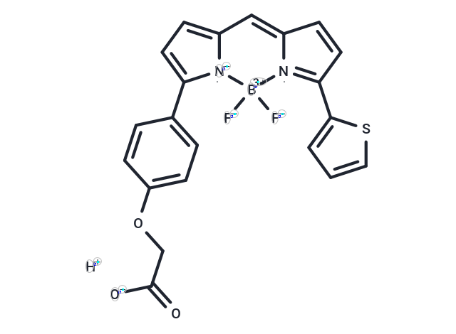 化合物 BDP TR carboxylic acid|T82904|TargetMol