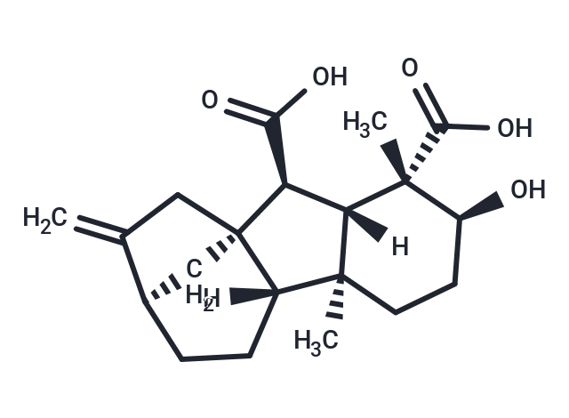 化合物 Gibberellin A14|T124777|TargetMol