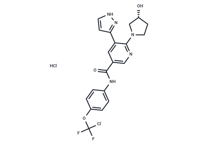 化合物 Asciminib hydrochloride|T63226|TargetMol