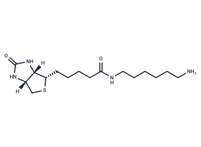 Biotinyl hexylamine|T36470|TargetMol