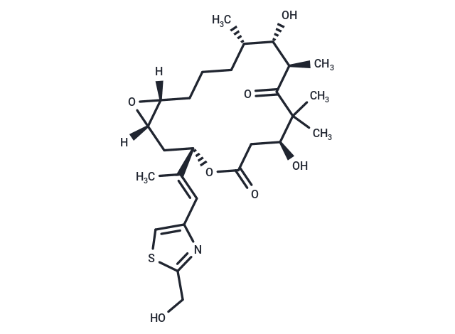 化合物 Epothilone E|T72934|TargetMol