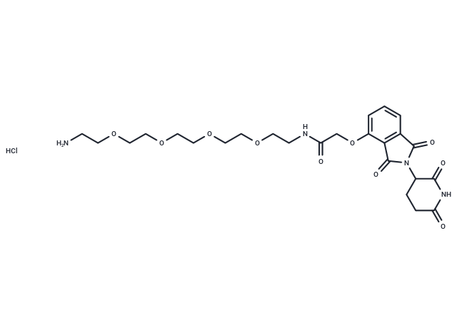 化合物Thalidomide-O-amido-PEG4-C2-NH2 hydrochloride|T18822|TargetMol