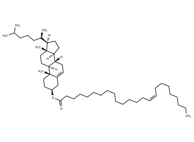 化合物 Cholesterol nervonate|T77231|TargetMol