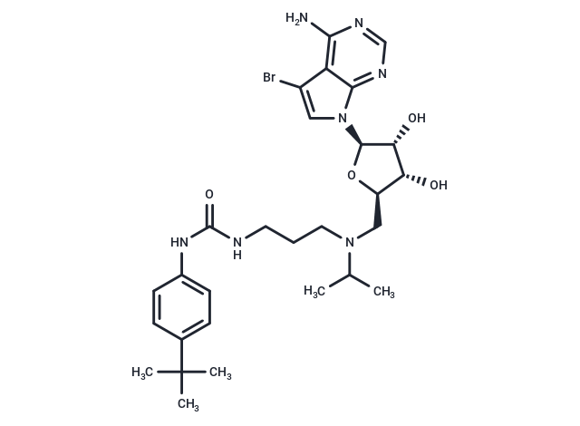 化合物 SGC0946|T3082|TargetMol