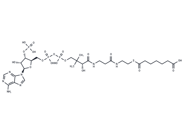 化合物 Pimeloyl-CoA|T74197|TargetMol