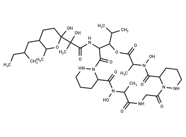 L-156,602|T38244|TargetMol