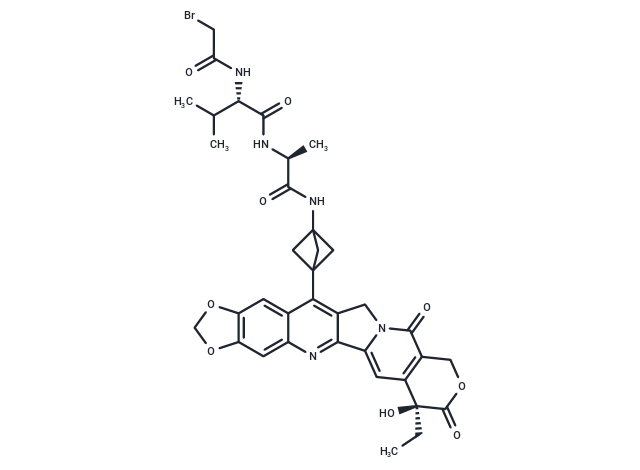 化合物 Br-Val-Ala-NH2-bicyclo[1.1.1]pentane-7-MAD-MDCPT|T74751|TargetMol