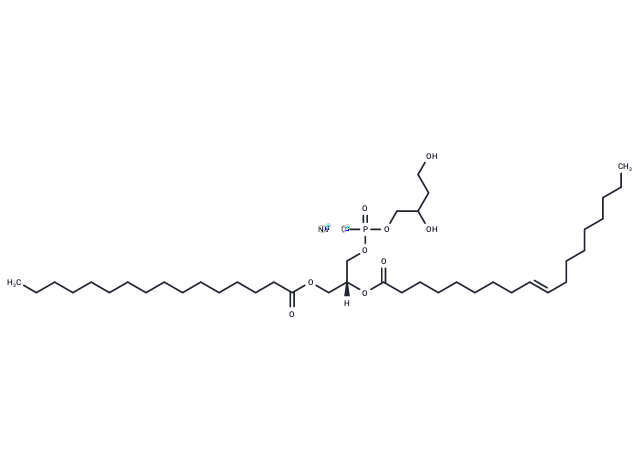 磷脂酸甘油酯(egg)|TN7244|TargetMol