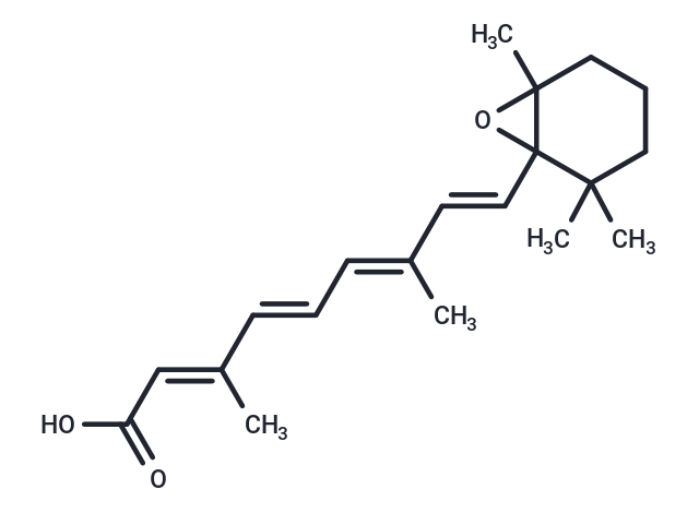 all-trans-5,6-epoxy Retinoic Acid|T36382|TargetMol