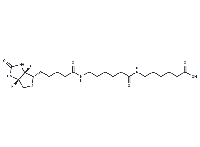 化合物Biotin-C5-amino-C5-amino|T17548|TargetMol