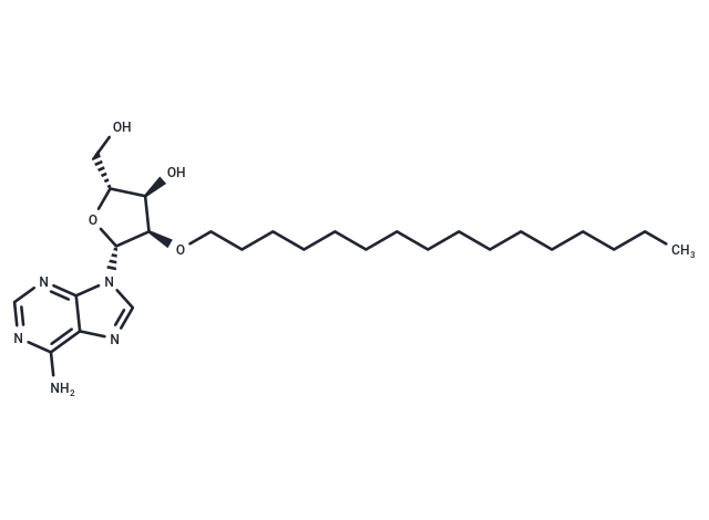 化合物 2’-O-Hexadecanyl adenosine|TNU1649|TargetMol