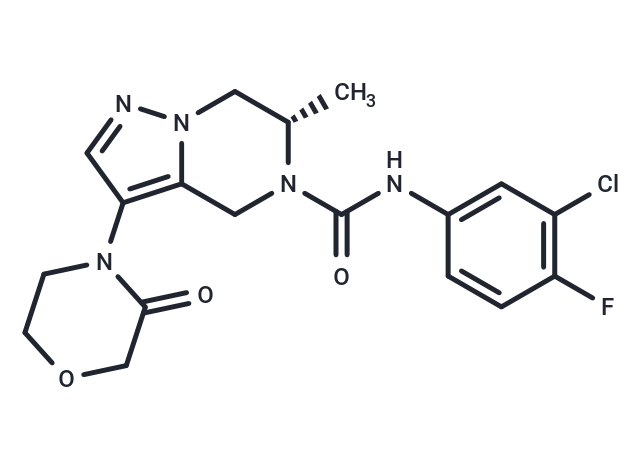 化合物 HBV-IN-41|T79767|TargetMol