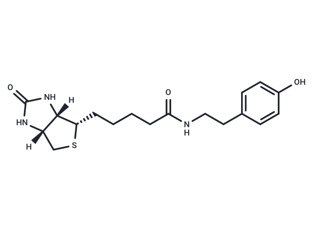 生物素基酪氨酰胺|T19209|TargetMol