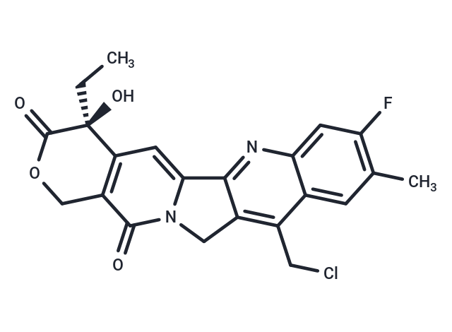 化合物 9-Chloromethyl-10-hydroxy-11-F-Camptothecin|T79883|TargetMol