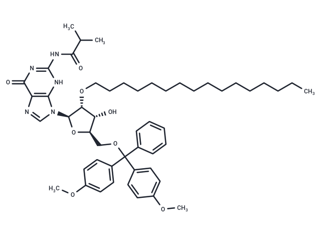 化合物 N2-iBu-5’-O-DMTr-2’-O-hexadecanyl guanosine|TNU1656|TargetMol