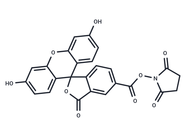 化合物5-FAM SE|T14049|TargetMol