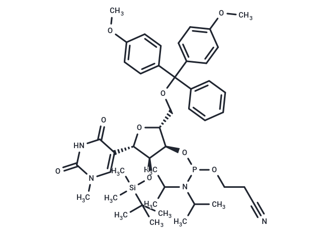 5'-DMT-2'-O-TBDMS-N1-甲基-假尿苷-CE-亚磷酰胺|TNU0961|TargetMol