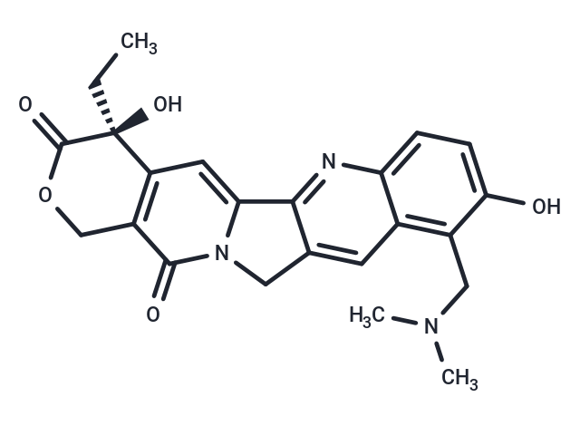 拓扑替康|T5784