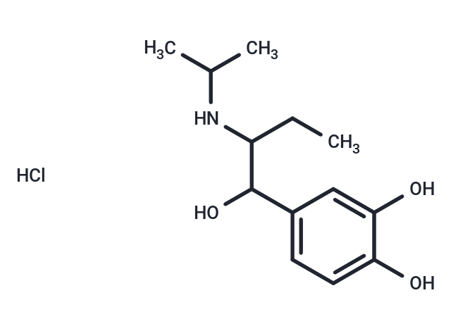 化合物 Isoetharine hydrochloride|T60502|TargetMol