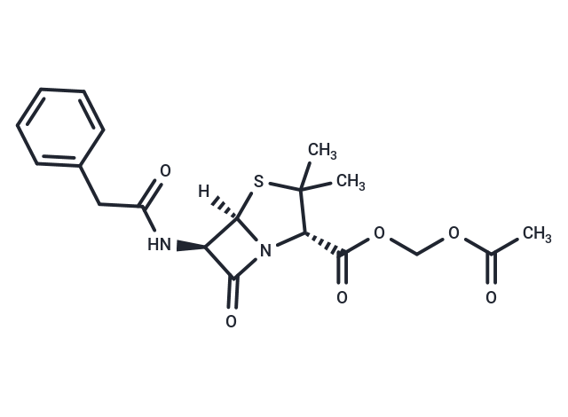 化合物 Penamecillin|T62023|TargetMol